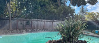 Stylish 4BR Mid-Century Oasis with Pool