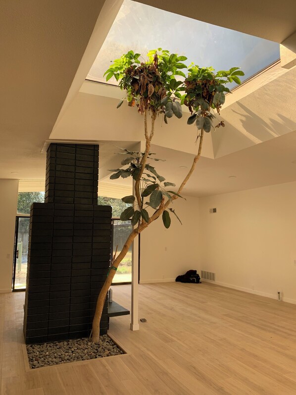 Interior - Stylish 4BR Mid-Century Oasis with Pool (Elk Grove)