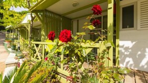 A green porch with a railing, red flowers, and a white building in the background. - ZEcamping 3 étoiles familial 200m plage piscine locatif TV clim 28m2 (Calella)