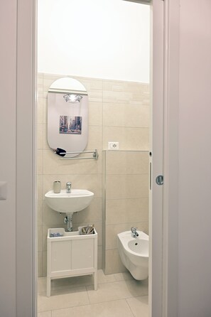 Shower, hair dryer, bidet, towels