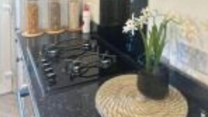 Una cocina moderna con estufa negra, salpicadero y planta en maceta sobre la encimera.