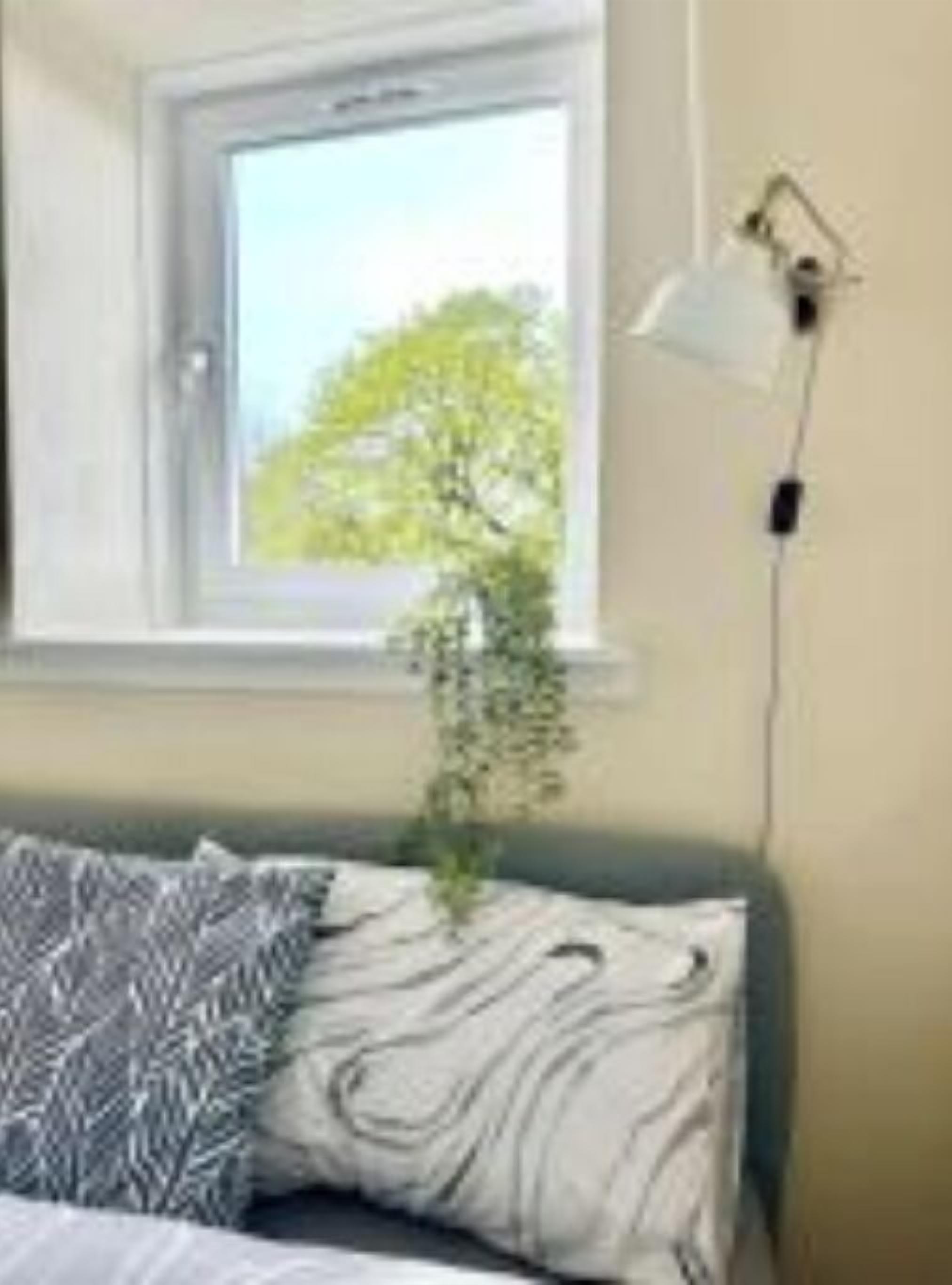 Ein Schlafzimmer mit Bett, Fenster, Pflanze und einer Wandlampe.