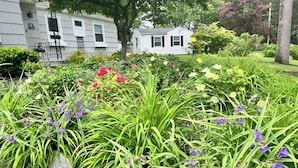 A garden with various plants and flowers, a stone pathway, and a white house with black shutters in the background.
