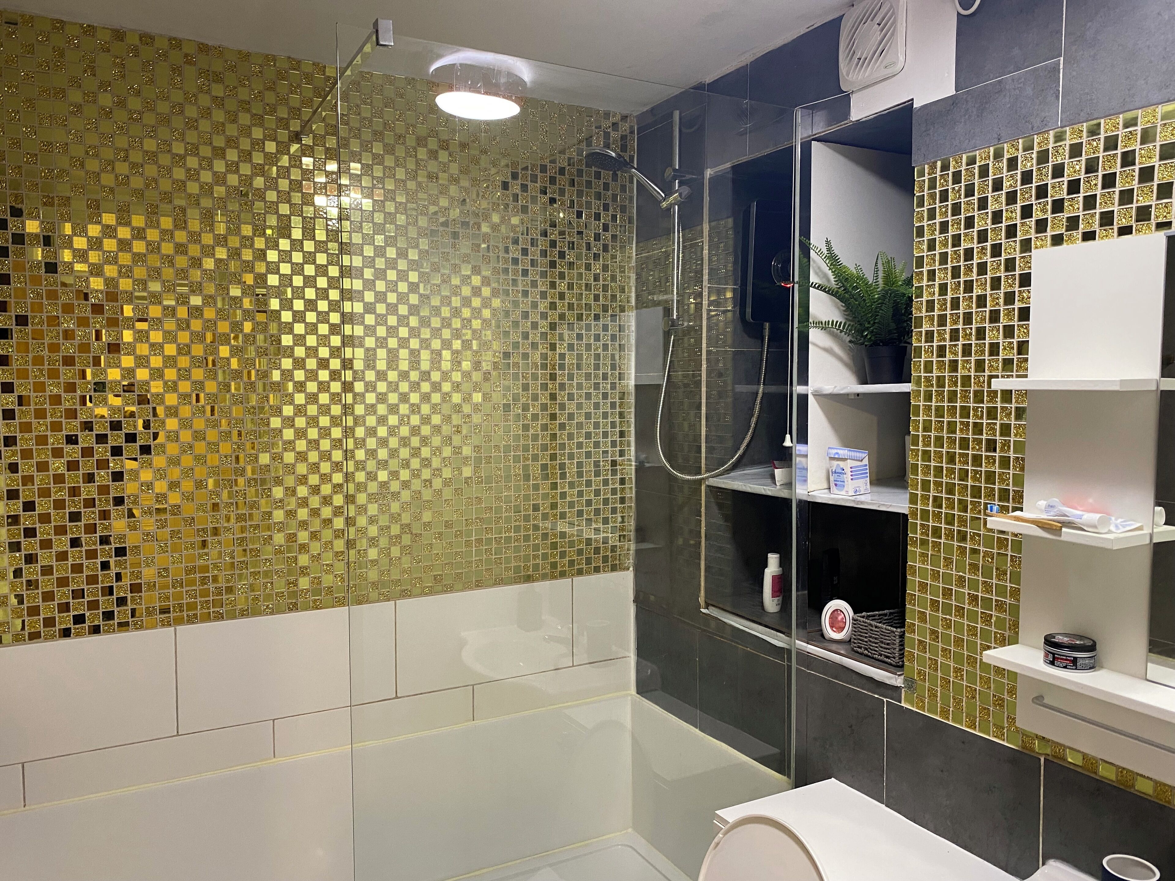Shower, hair dryer, bidet, towels