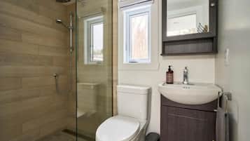 Shower, hair dryer, soap