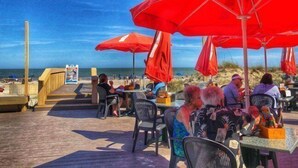 A beachside restaurant with outdoor seating, red umbrellas, and a view of the ocean.