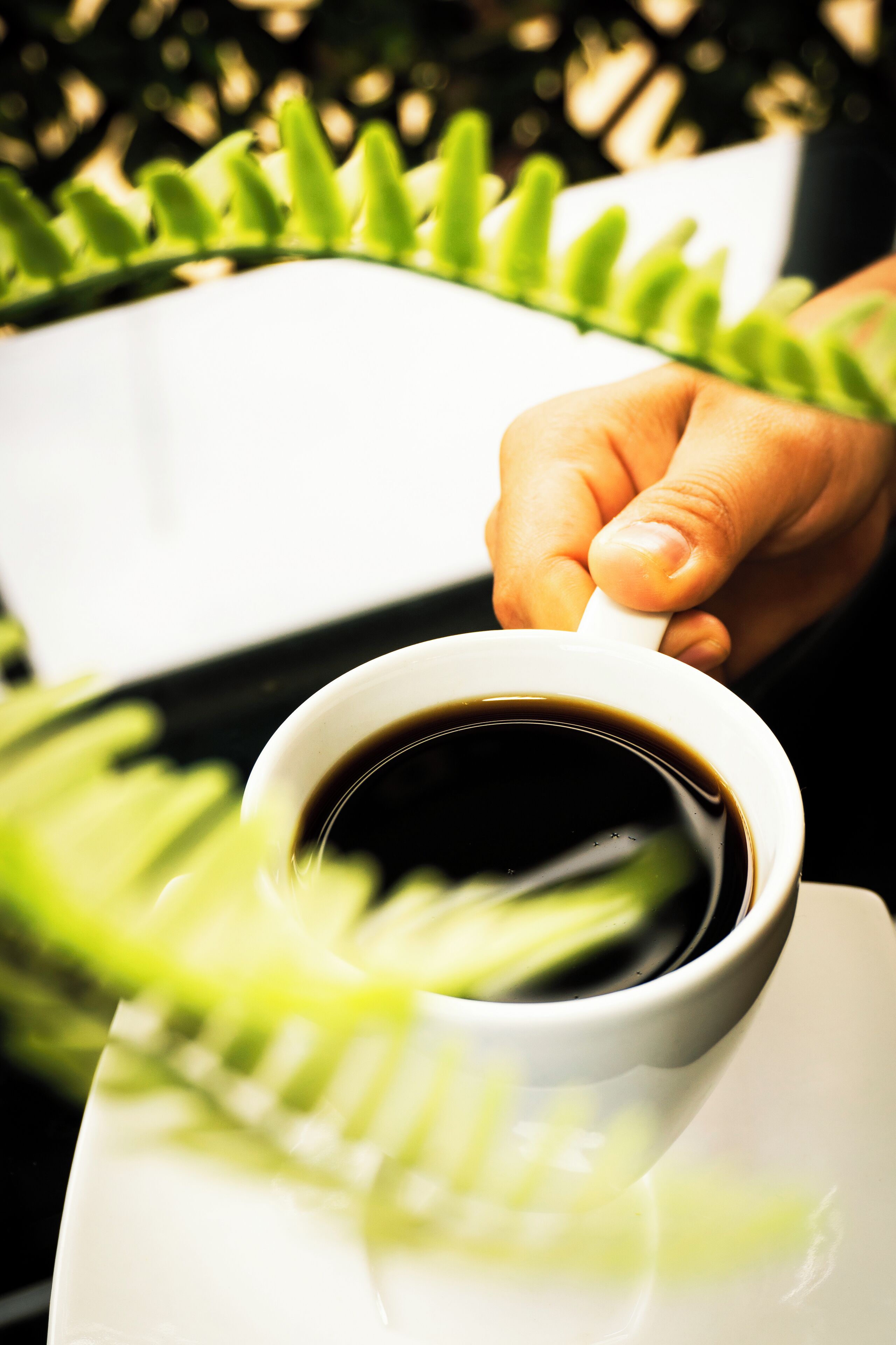 Photo - Di Costa Hoteles