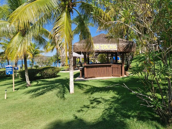 A beachside hut with a thatched roof, surrounded by lush greenery and palm trees.