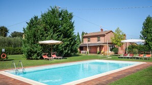A swimming pool with lounge chairs and umbrellas, surrounded by a well-maintained lawn and a large tree.