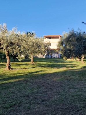 House | 3 bedrooms - Country House With Pool in Nerola (Nerola)