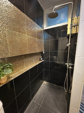 Regadera, tina de hidromasaje, secadora de cabello, bidet 