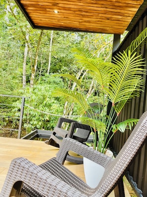 Terras