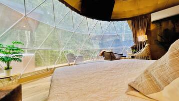 1 bedroom, iron/ironing board, free WiFi