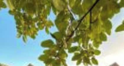 Newbuild Riverview 3BDR House near Glasgow