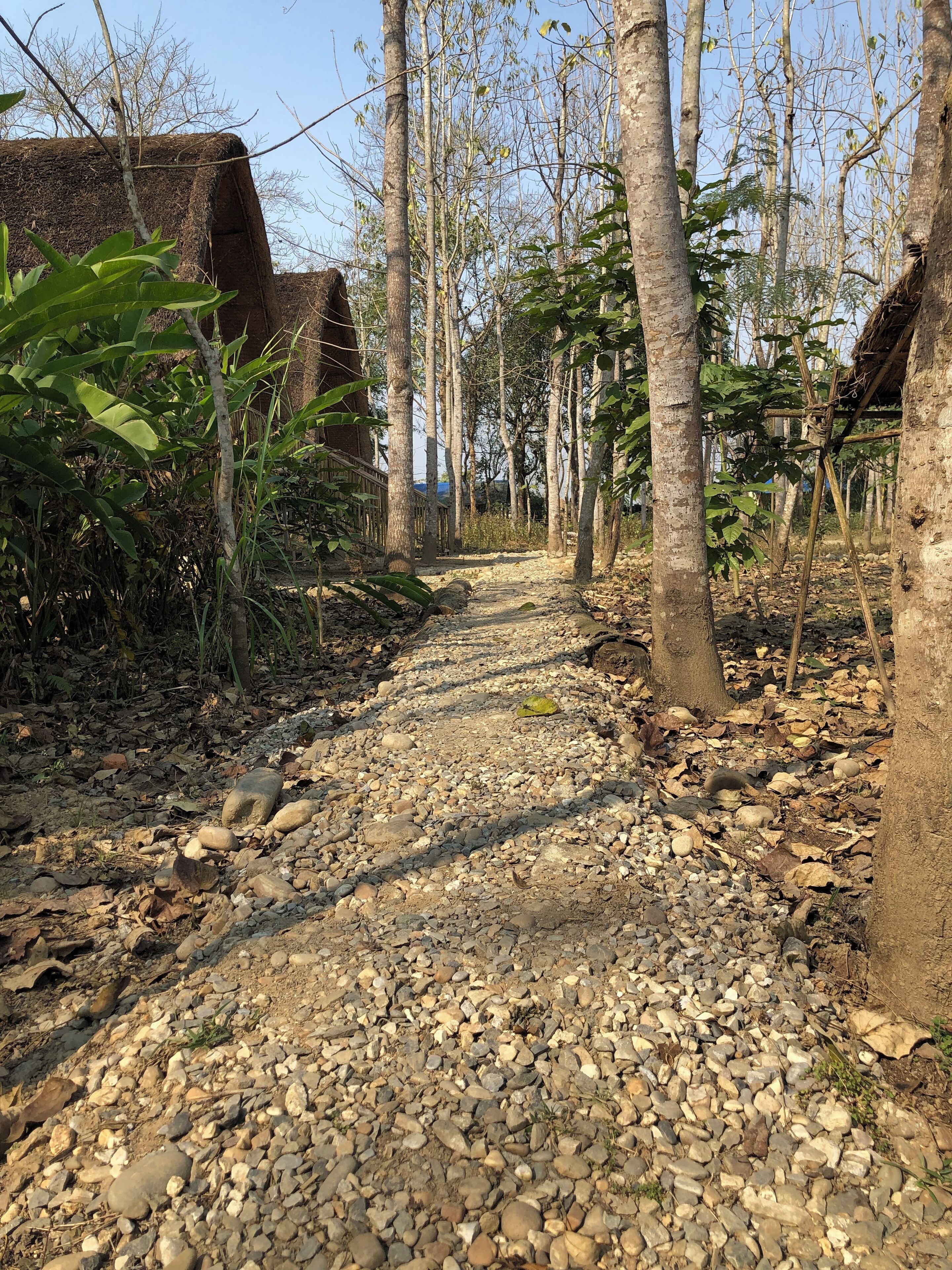 Jardines del alojamiento