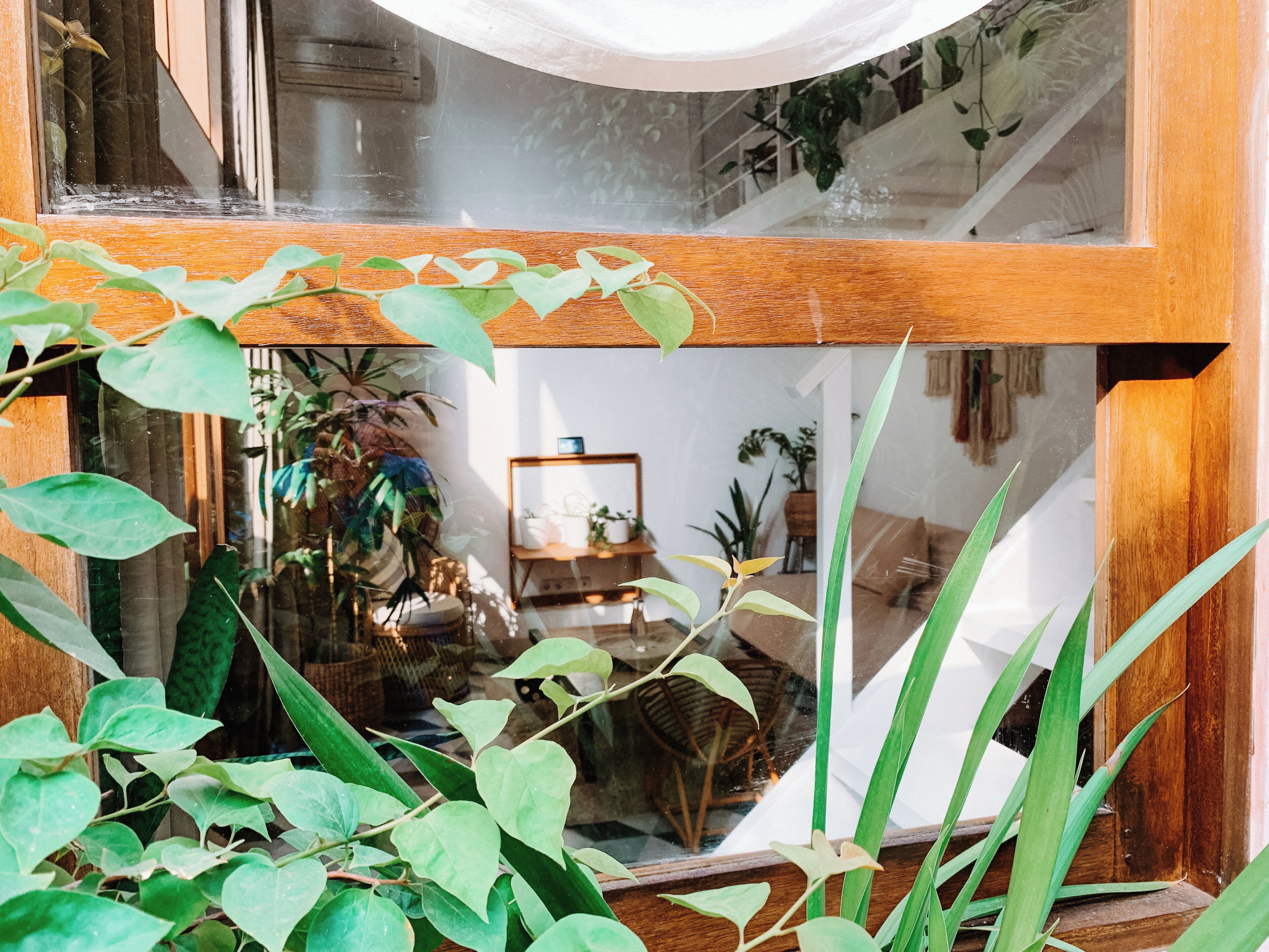 Estudio romántico, 1 habitación, cocina, vistas al jardín | Vistas desde la habitación