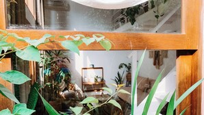 Private Garden Loft with Own Entrance & Kitchenette | Utsikt fra rommet