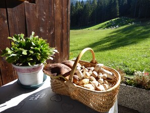 Ein Holztisch mit einem Brotkorb und einer Topfpflanze.