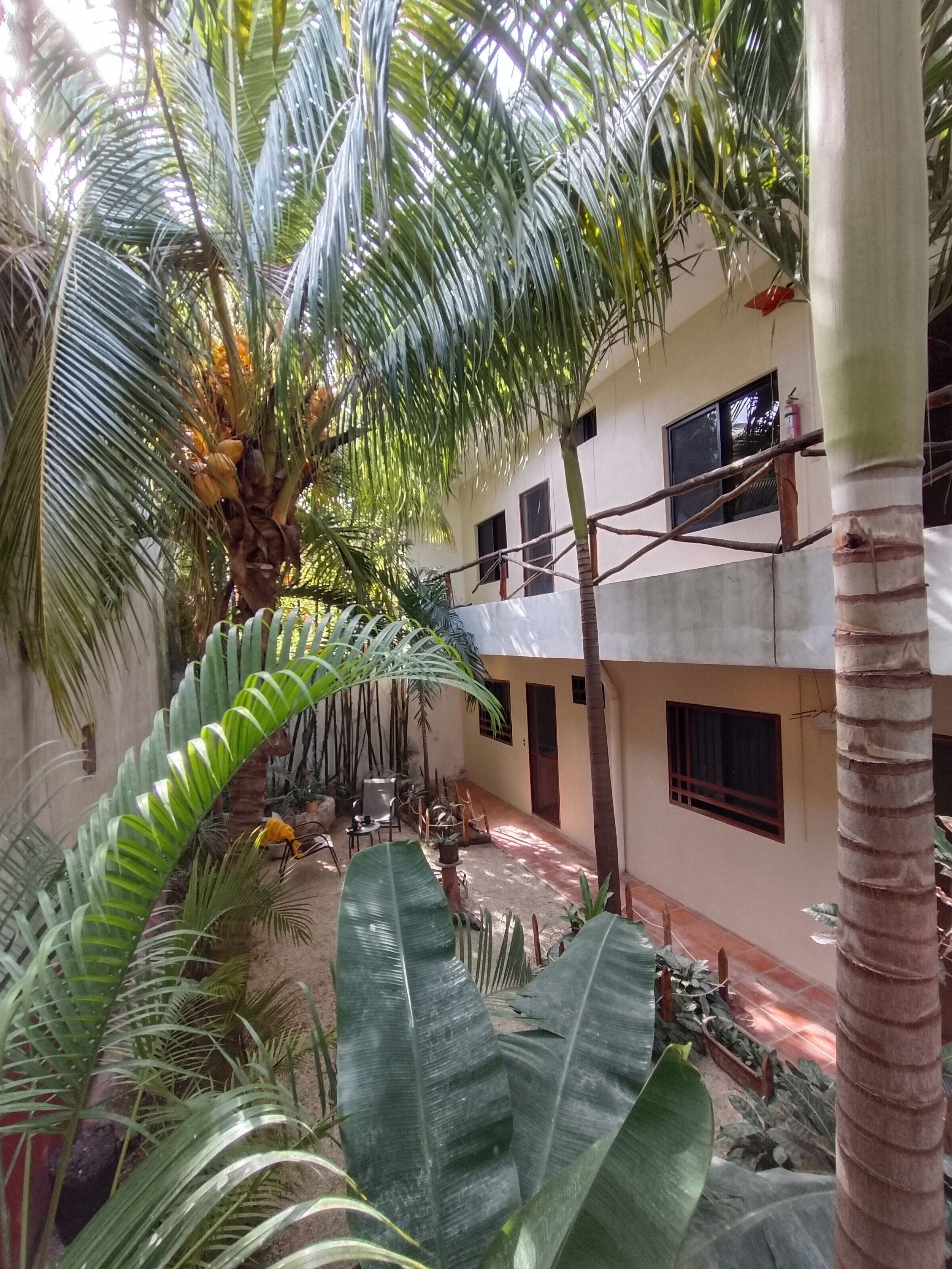 Photo - Casa Lupita