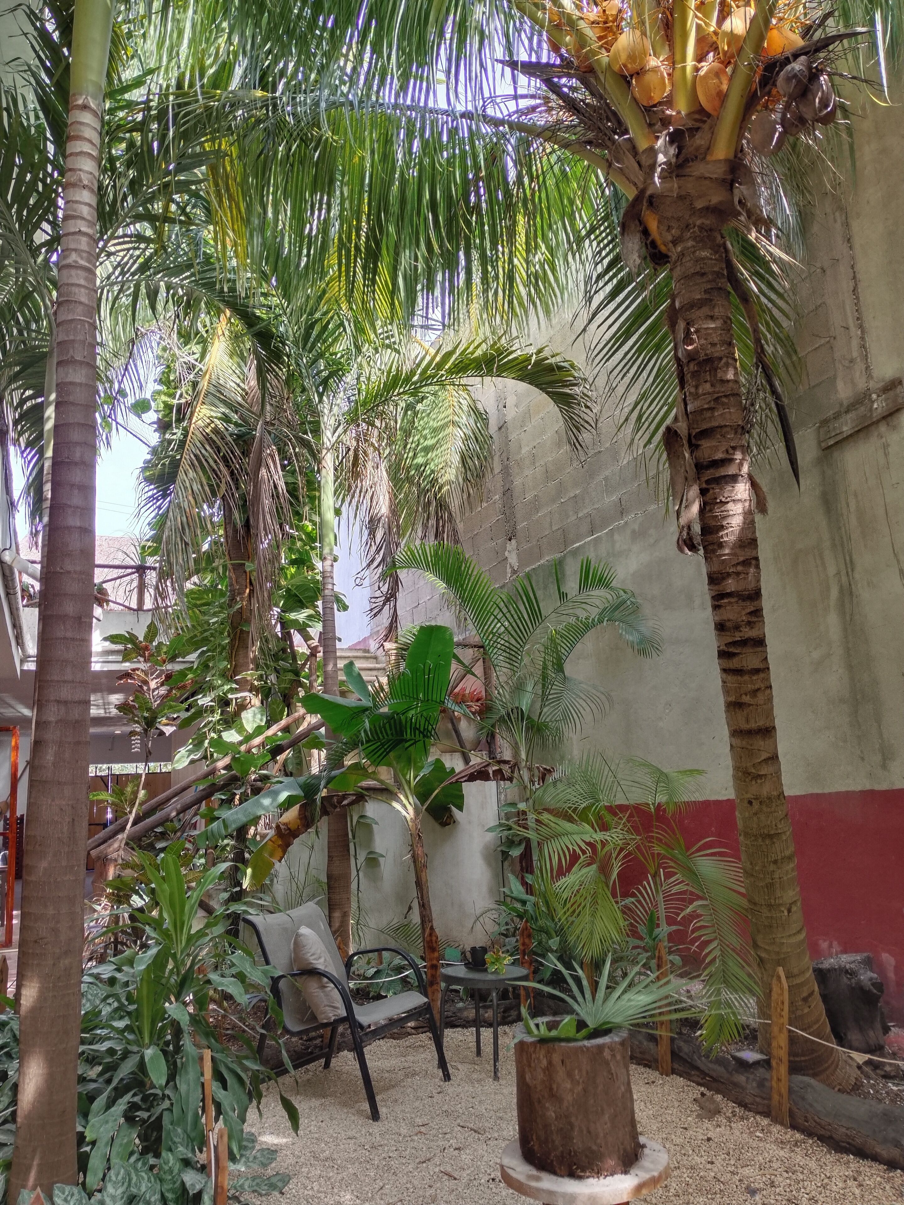 Photo - Casa Lupita