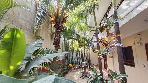 Un patio estrecho con una variedad de plantas tropicales, incluyendo palmeras y plantas de hojas grandes, y un pequeño espacio de descanso con una mesa y sillas.