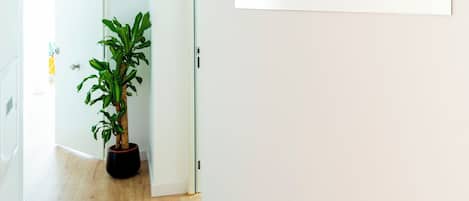 公寓 | 1 間睡房