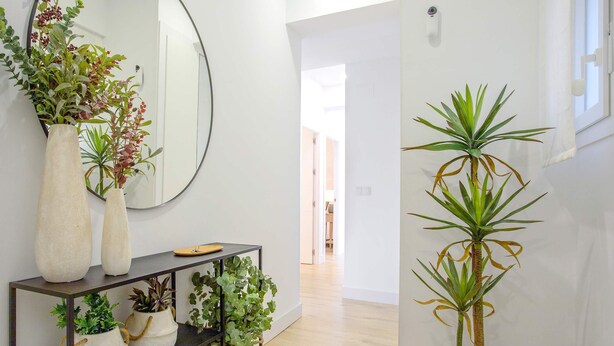 A hallway with a console table holding potted plants and a large mirror. - Exclusive Apartament in Malaga Center Soho (Málaga)