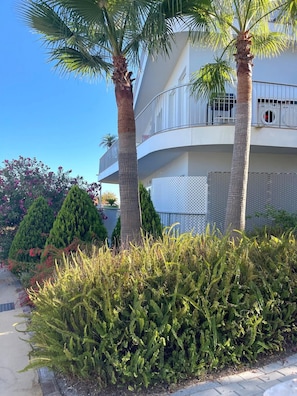 Apartment, Accessible