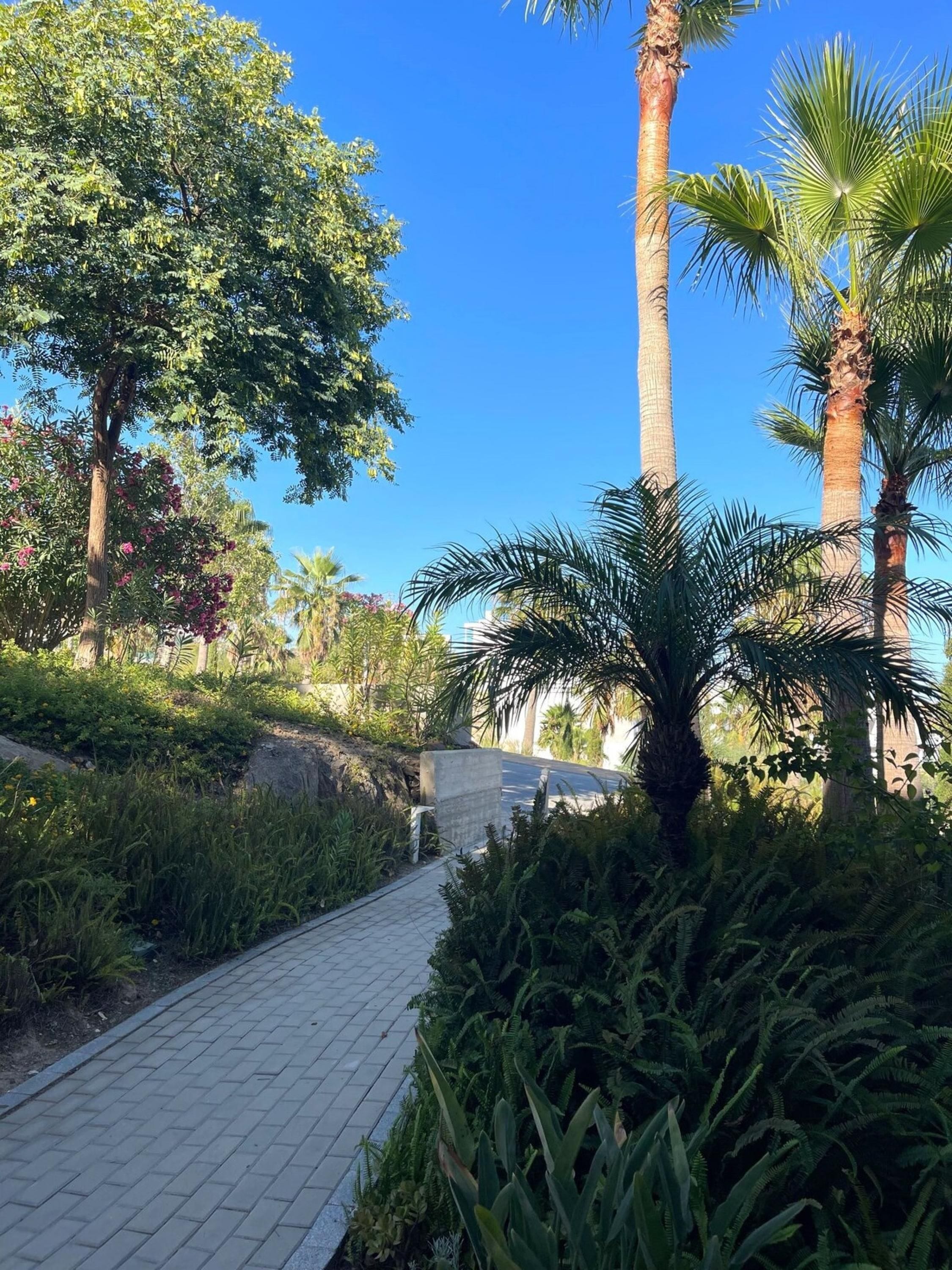 Apartment, Accessible