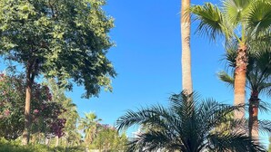 A paved pathway flanked by lush greenery and tall palm trees. - Luxury Apartment With Sea View (Benalmádena)