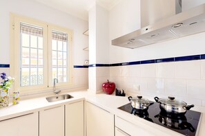 Apartment | 1 bedroom - Penthouse Terrace Next Cathedral Vinuesa Terrace (Seville)