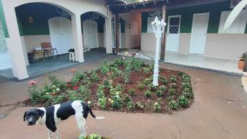 Um pátio com um cachorro, um jardim com flores e um poste de luz branco.