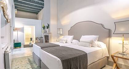 Unique Sevillian Palace-house in Santa Cruz Abades Terrace