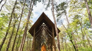 A wooden cabin structure surrounded by tall trees.