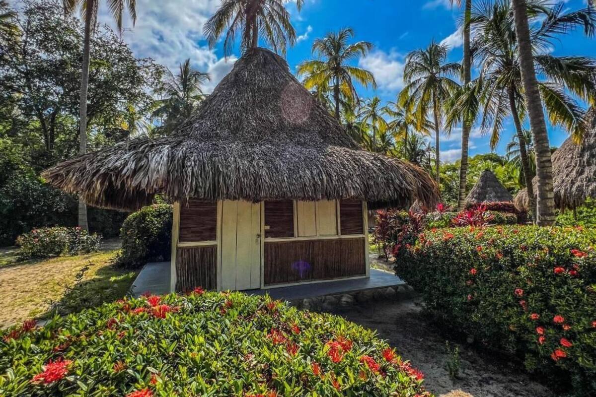 A thatched-roof hut with a wooden door and windows, surrounded by lush greenery and palm trees.
