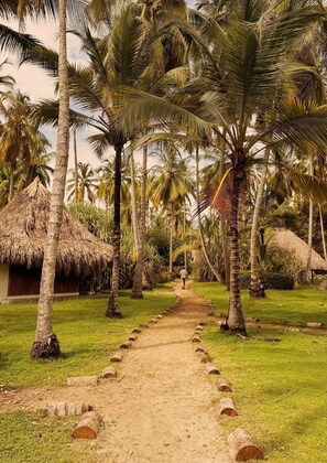 Interior entrance - Santuario Playa Bonita (Santa Marta)