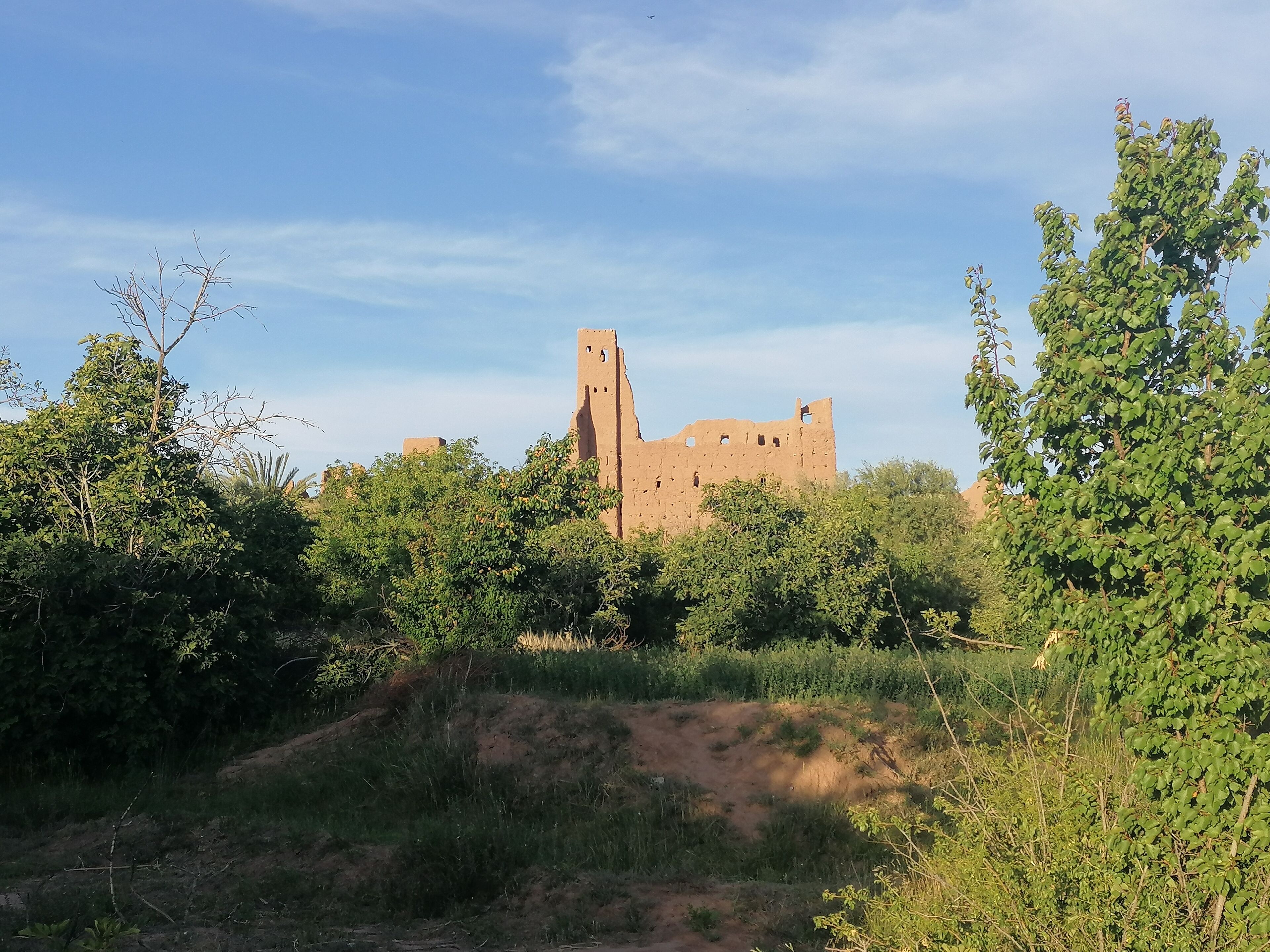 A historic castle surrounded by dense greenery and a clear sky.