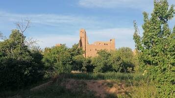 A historic castle surrounded by dense greenery and a clear sky.