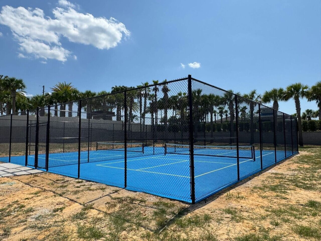 A fenced tennis court with a blue surface, surrounded by palm trees and a clear sky.