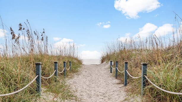 A sandy beach path with tall grass on either side, leading to the sea. - Retro-Themed Condo | 2BR | Perfect Location (Myrtle Beach)