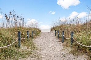 A sandy beach path with tall grass on either side, leading to the sea.