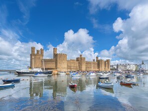 Un castillo histórico con un foso, rodeado por una marina con diferentes embarcaciones.