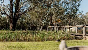 Área da propriedade