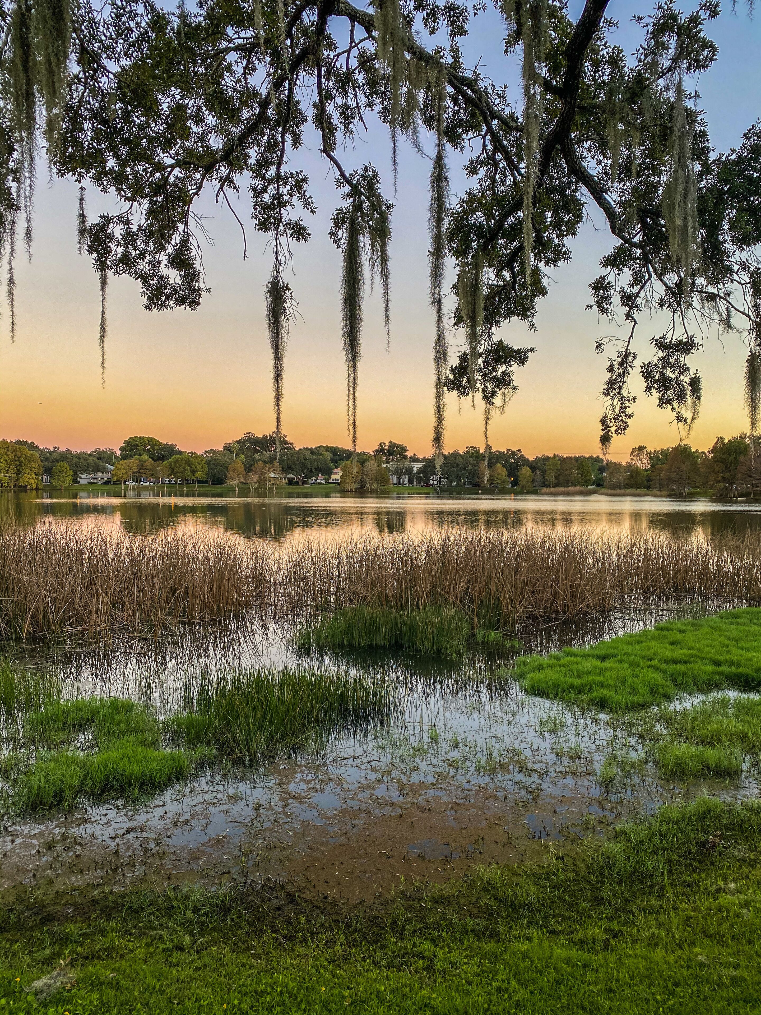 A serene lakeside scene with trees and a clear sky.