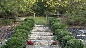 Una escalera de piedra que sube hacia un portón de madera, rodeada de setos y árboles bien cuidados.