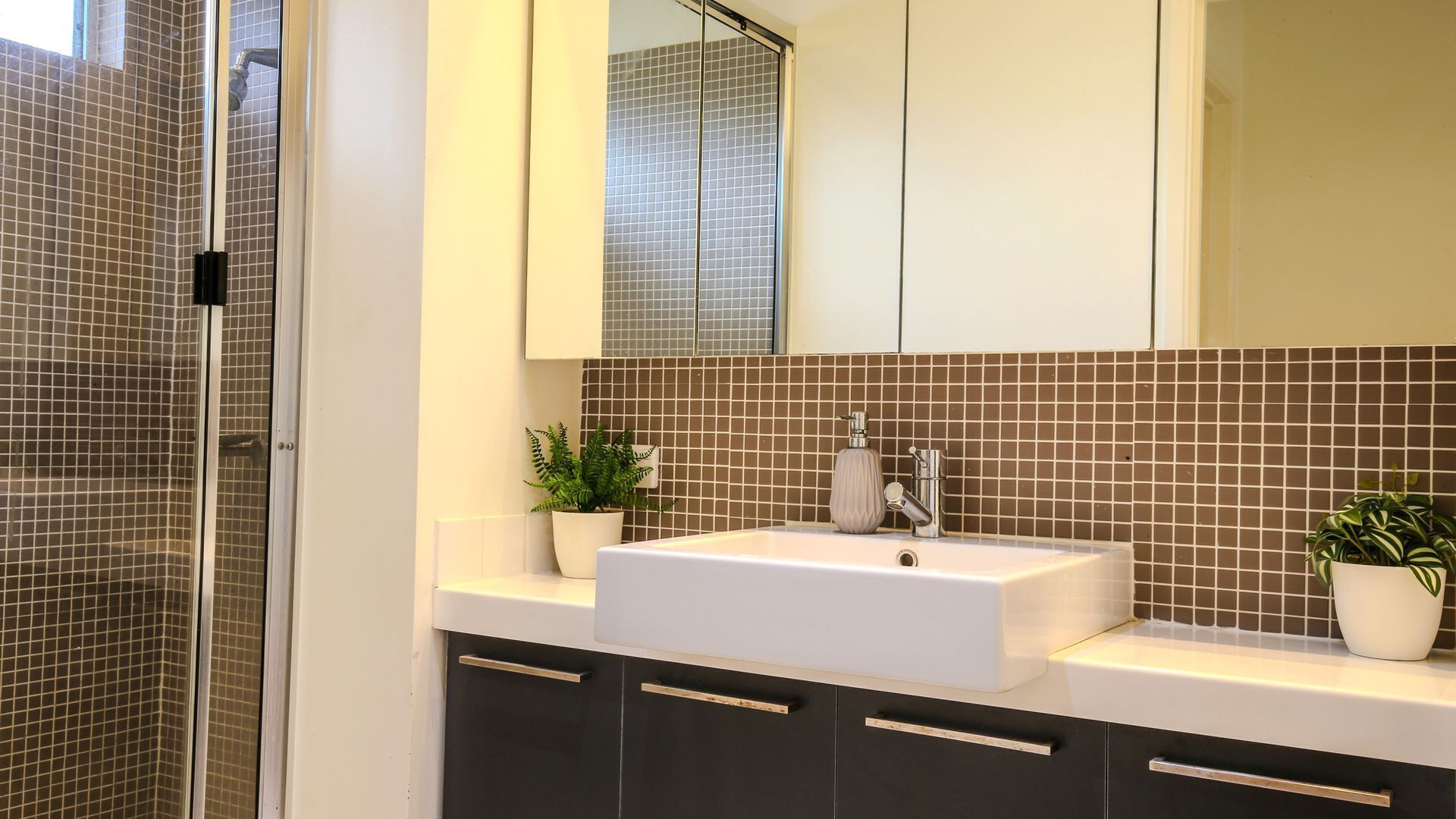 Un bany amb un lavabo blanc, un mirall i dues plantes en testos.