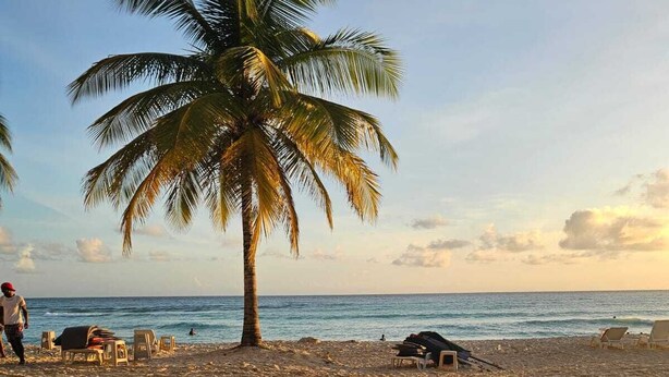 Ein Sandstrand mit einer Palme, Liegestühlen und einer Person, die daraufgeht.