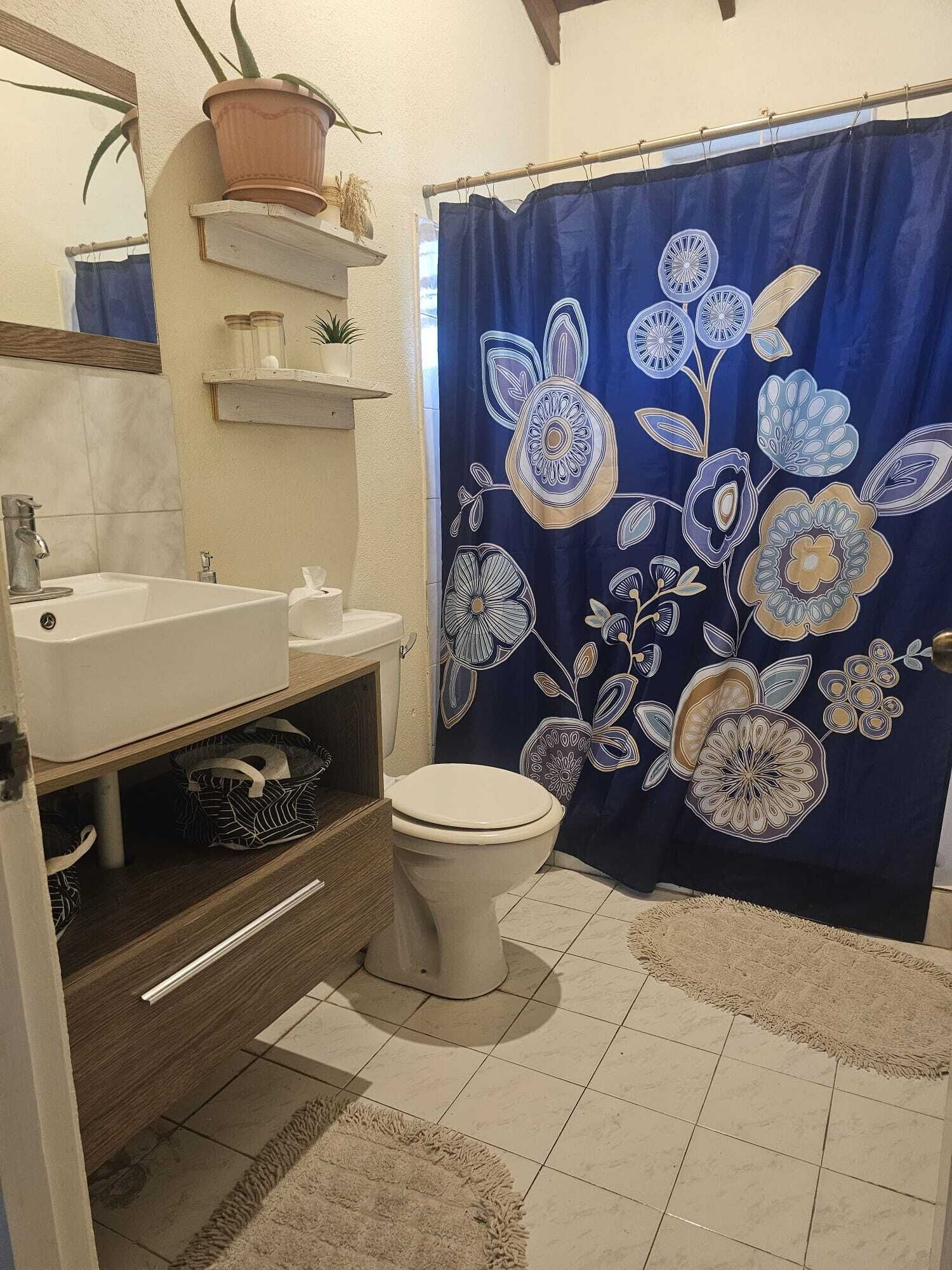 シャワー、タオル、石鹸、トイレットペーパー