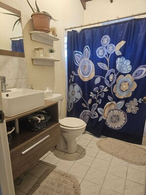 Regadera, toallas, jabón, papel de baño