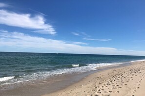 Beach - Cheery home in private setting 4 mins to Nauset Beach and Town (Orleans)